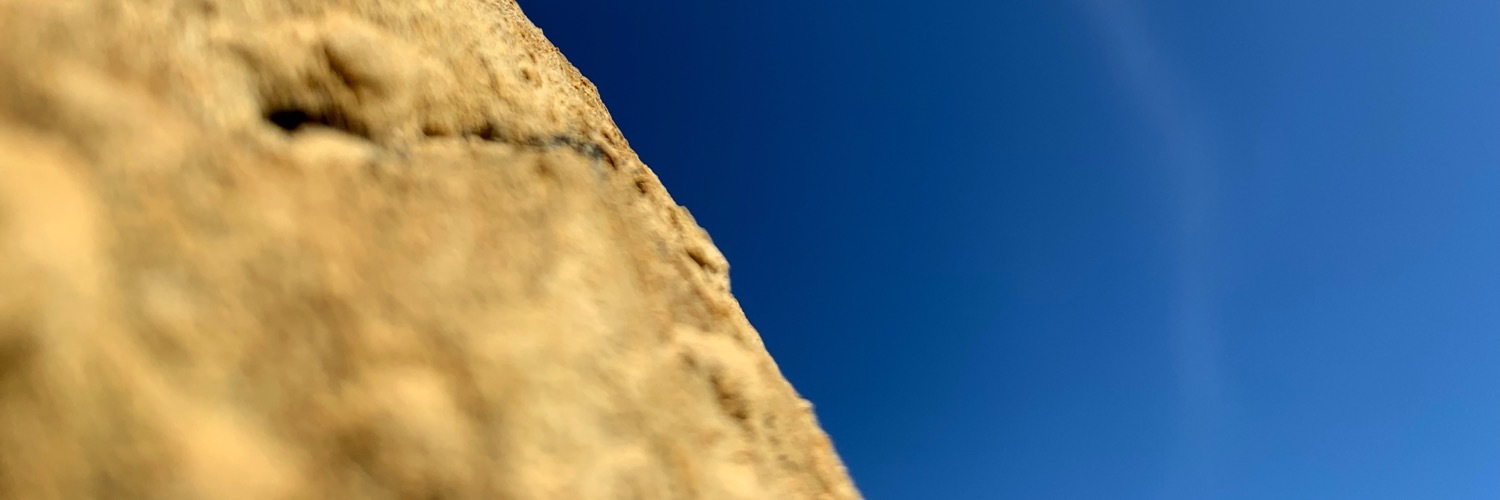 Header Image