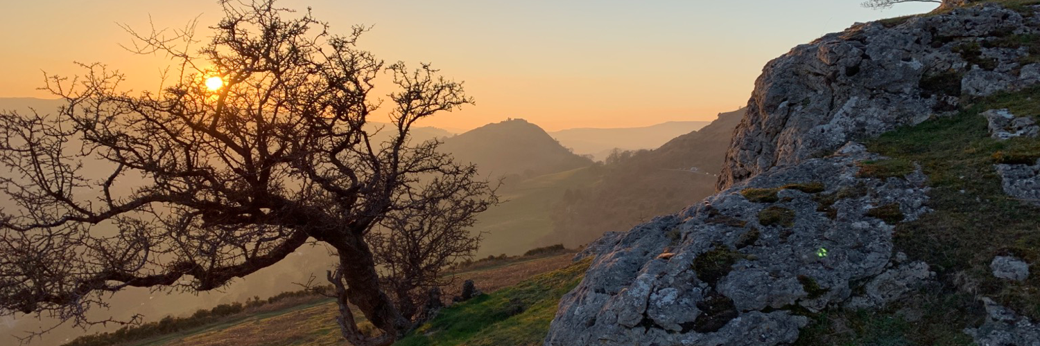 Header Image