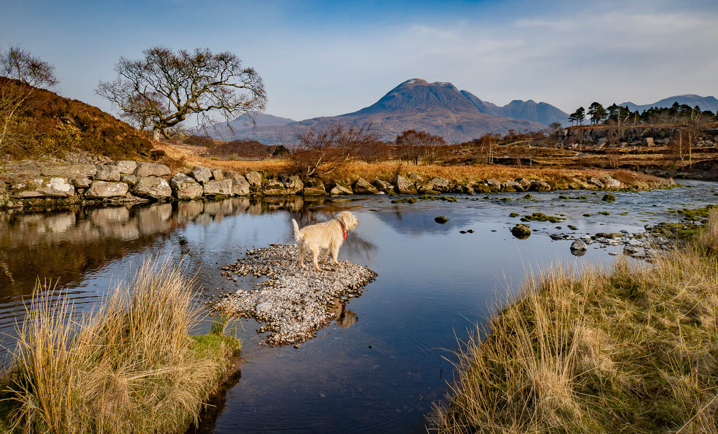 River meanders through a Highland landscape. Labradoodle centre pic. River meanders through a Highland landscape. Labradoodle centre pic.